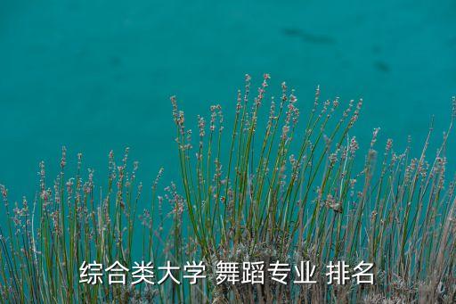 综合类大学 舞蹈专业 排名