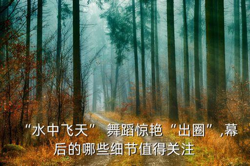 中国唯美舞蹈视频,唯美六神舞蹈视频简单