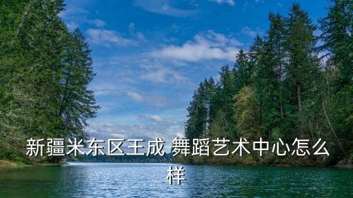  新疆米东区王成 舞蹈艺术中心怎么样