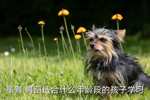 墨舞 舞蹈适合什么年龄段的孩子学习