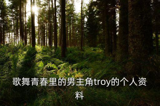 歌舞青春里的男主角troy的个人资料