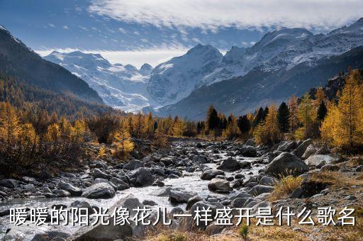 暖暖的阳光像花儿一样盛开是什么歌名