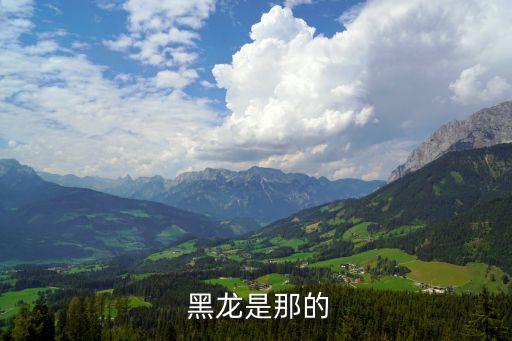 感谢舞蹈视频教学黑龙,放飞梦想黑龙舞蹈视频