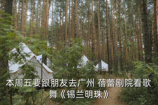 本周五要跟朋友去广州 蓓蕾剧院看歌舞《锡兰明珠》