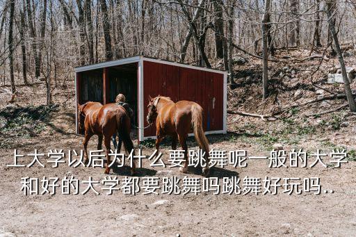 儿行千里舞蹈,舞蹈儿行千里妈牵挂