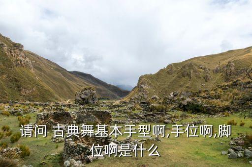 请问 古典舞基本手型啊,手位啊,脚位啊是什么