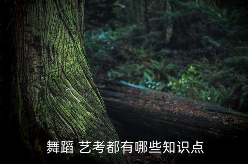 舞蹈艺考需掌握些什么,艺考舞蹈分数线2023