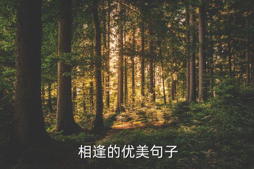相逢是首歌华尔兹舞蹈,舞蹈相逢是首歌一等奖舞