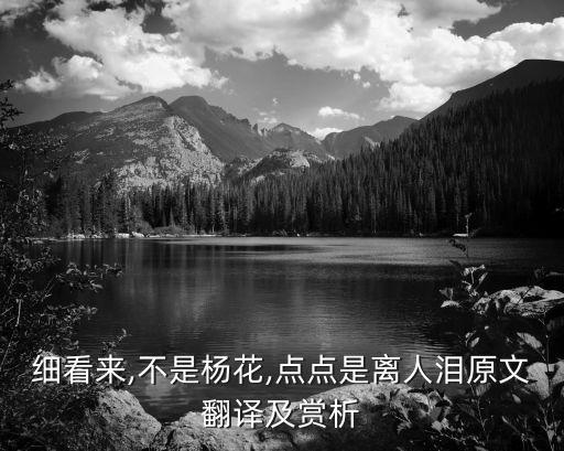 细看来,不是杨花,点点是离人泪原文翻译及赏析
