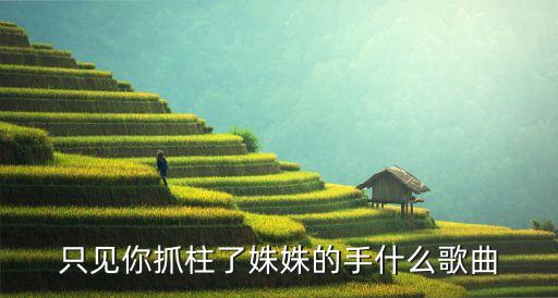 只见你抓柱了姝姝的手什么歌曲