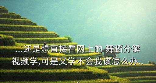...还是想直接看网上的 舞蹈分解视频学,可是又学不会我该怎么办...