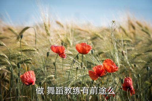 做 舞蹈教练有前途么