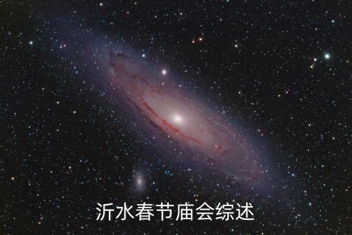 沂水春节庙会综述