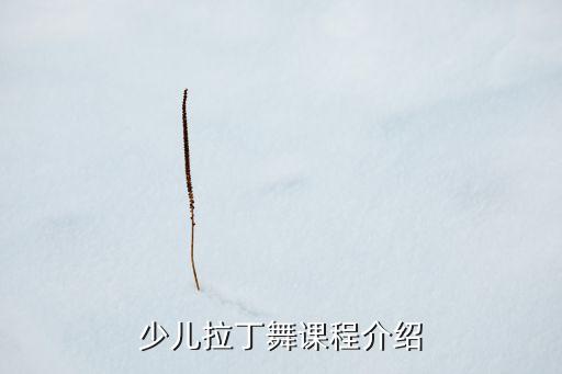 少儿拉丁舞课程介绍