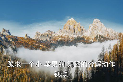 跪求一个小 苹果的 舞蹈的分解动作视频