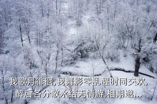 我歌月徘徊,我舞影零乱醒时同交欢,醉后各分散永结无情游,相期邈...