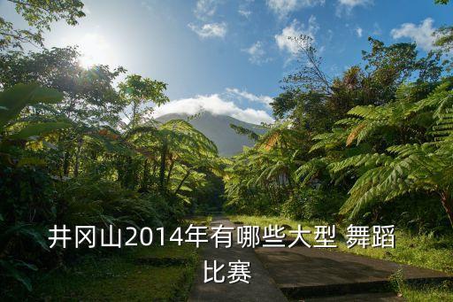 井冈山2014年有哪些大型 舞蹈 比赛