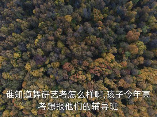 谁知道舞研艺考怎么样啊,孩子今年高考想报他们的辅导班