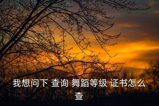 舞蹈教师资格证书查询入口,中小学教师资格证书查询入口