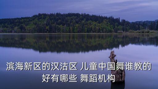滨海新区的汉沽区 儿童中国舞谁教的好有哪些 舞蹈机构