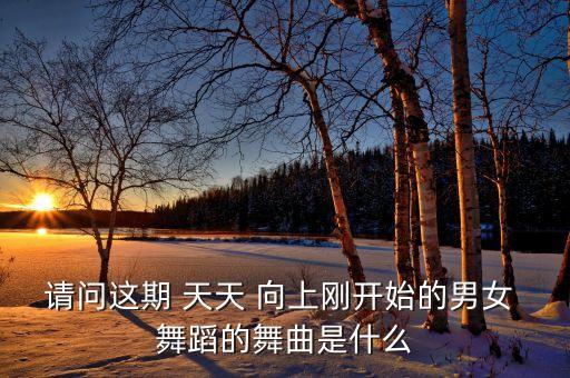 天天向上的分解舞蹈