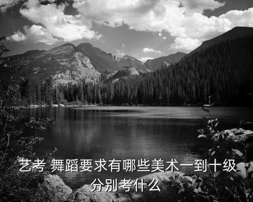  艺考 舞蹈要求有哪些美术一到十级分别考什么