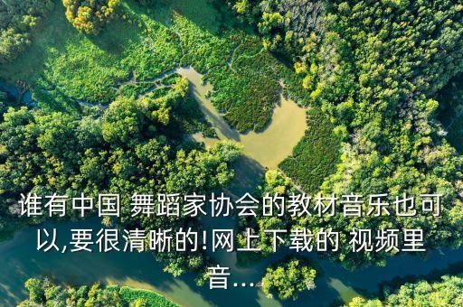 谁有中国 舞蹈家协会的教材音乐也可以,要很清晰的!网上下载的 视频里音...