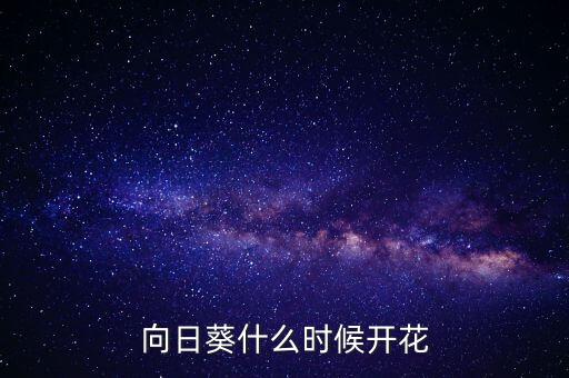 向阳花 舞蹈视频
