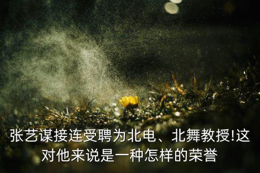张艺谋接连受聘为北电、北舞教授!这对他来说是一种怎样的荣誉
