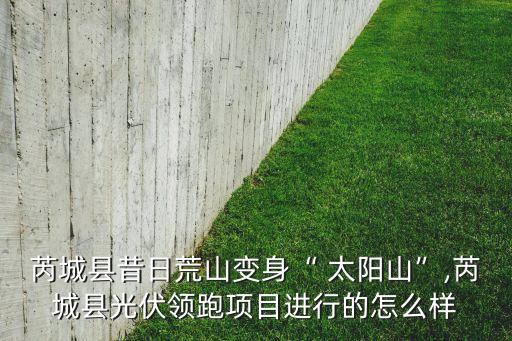 芮城县昔日荒山变身“ 太阳山”,芮城县光伏领跑项目进行的怎么样