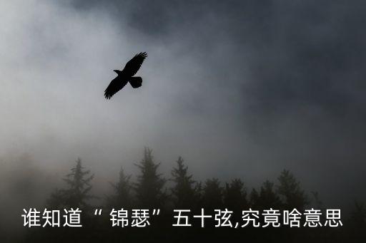 舞蹈剧目《锦瑟》,《锦瑟》舞蹈作品分析