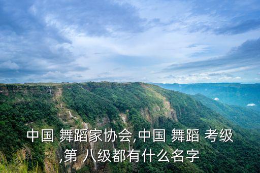 哈特里亚八级考级舞蹈分解,中国舞蹈家协会八级考级舞蹈视频哈特里亚