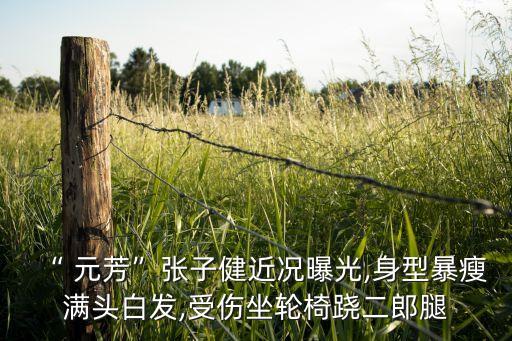 “ 元芳”张子健近况曝光,身型暴瘦满头白发,受伤坐轮椅跷二郎腿