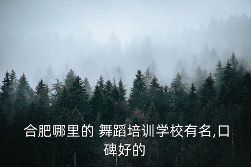  合肥哪里的 舞蹈培训学校有名,口碑好的