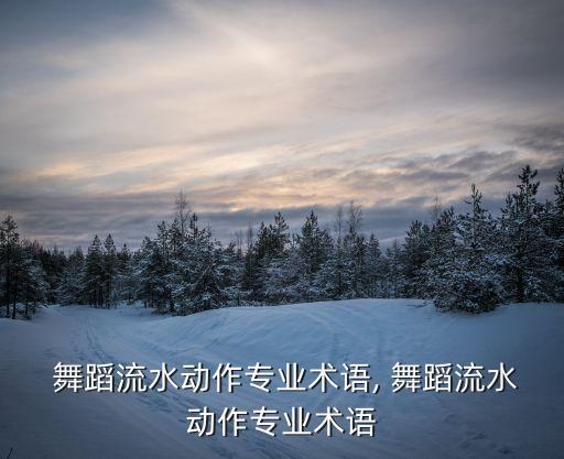 舞蹈流水动作专业术语, 舞蹈流水动作专业术语