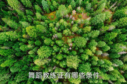  舞蹈教练证有哪些条件