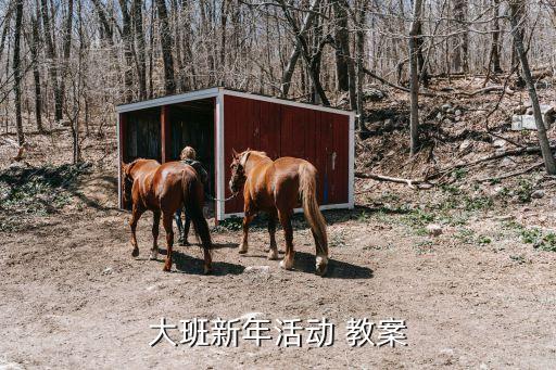 小太阳幼儿舞蹈教案,大班舞蹈活动小太阳教案