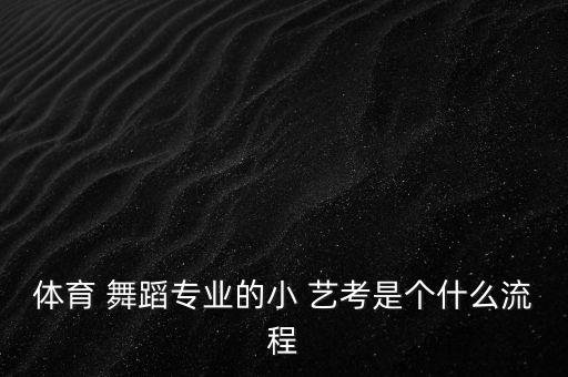 舞蹈教育艺考怎么考,舞蹈艺考可以考哪些学校