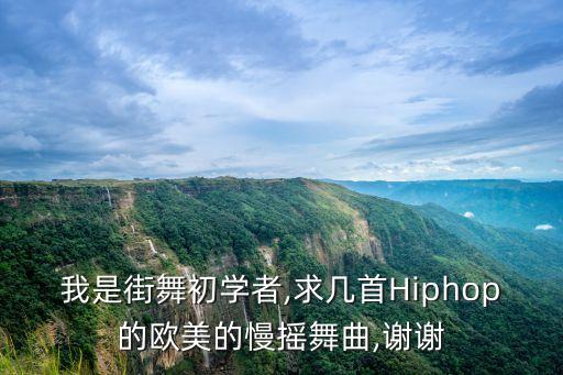 我是街舞初学者,求几首Hiphop的欧美的慢摇舞曲,谢谢