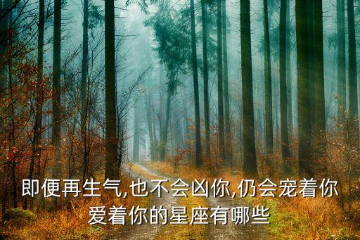 即便再生气,也不会凶你,仍会宠着你爱着你的星座有哪些