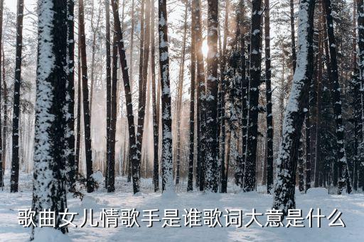 舞蹈女儿情mp3音乐下载,女儿情无损音乐下载
