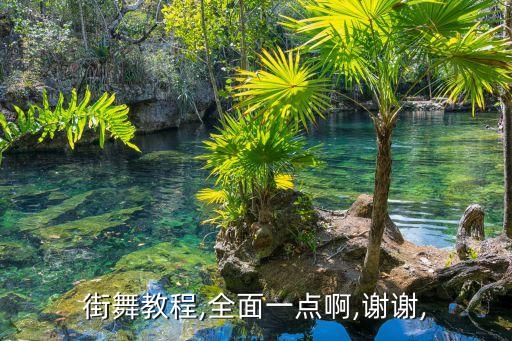 街舞教程,全面一点啊,谢谢,