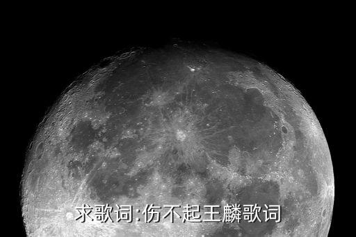 求歌词:伤不起王麟歌词