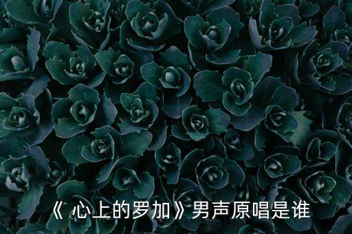 《 心上的罗加》男声原唱是谁