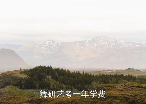 海淀区少儿舞蹈培训班
