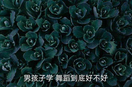 男孩子学 舞蹈到底好不好