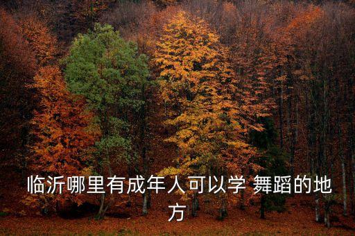  临沂哪里有成年人可以学 舞蹈的地方