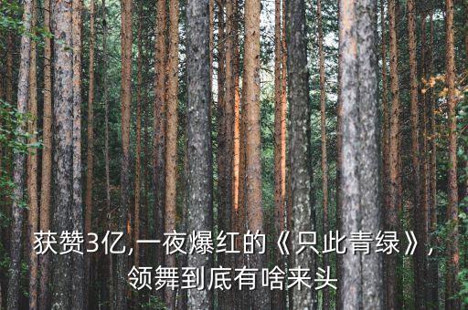 获赞3亿,一夜爆红的《只此青绿》,领舞到底有啥来头