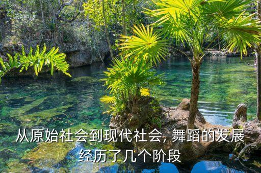 从原始社会到现代社会, 舞蹈的发展经历了几个阶段