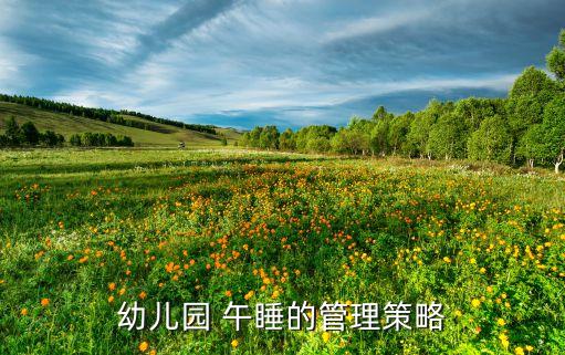 幼儿园 午睡的管理策略